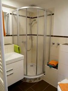 Wochner's-Sternen Am Schluchsee Hochschwarzwald - 73