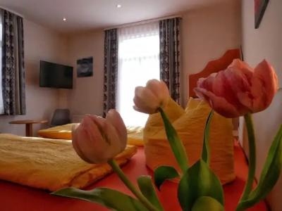 Wochner's-Sternen Am Schluchsee Hochschwarzwald - 22