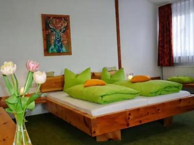 Wochner's-Sternen Am Schluchsee Hochschwarzwald - 142