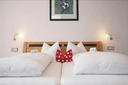 Wochner's-Sternen Am Schluchsee Hochschwarzwald - 96