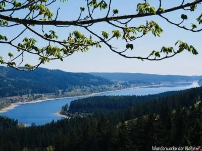 Wochner's-Sternen Am Schluchsee Hochschwarzwald - 19