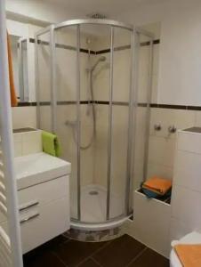 Wochner's-Sternen Am Schluchsee Hochschwarzwald - 102