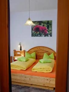 Wochner's-Sternen Am Schluchsee Hochschwarzwald - 104