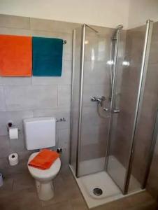 Wochner's-Sternen Am Schluchsee Hochschwarzwald - 68