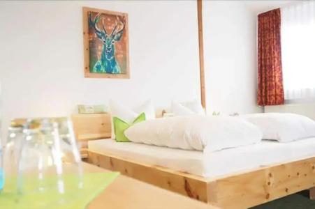 Wochner's-Sternen Am Schluchsee Hochschwarzwald - 48