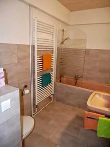 Wochner's-Sternen Am Schluchsee Hochschwarzwald - 71