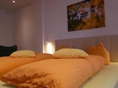 Wochner's-Sternen Am Schluchsee Hochschwarzwald - 86