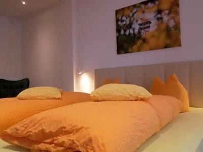 Wochner's-Sternen Am Schluchsee Hochschwarzwald - 65