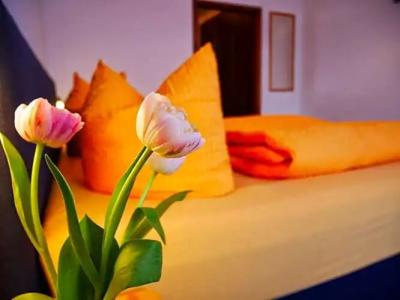 Wochner's-Sternen Am Schluchsee Hochschwarzwald - 111