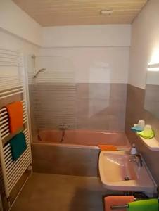 Wochner's-Sternen Am Schluchsee Hochschwarzwald - 67