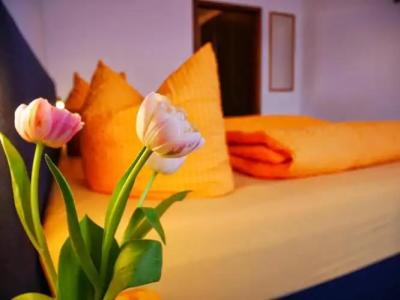 Wochner's-Sternen Am Schluchsee Hochschwarzwald - 122