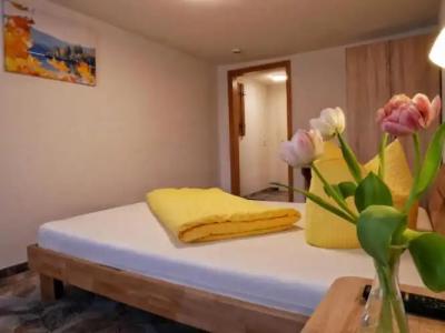 Wochner's-Sternen Am Schluchsee Hochschwarzwald - 54