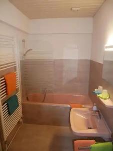 Wochner's-Sternen Am Schluchsee Hochschwarzwald - 98