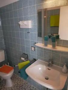 Wochner's-Sternen Am Schluchsee Hochschwarzwald - 134