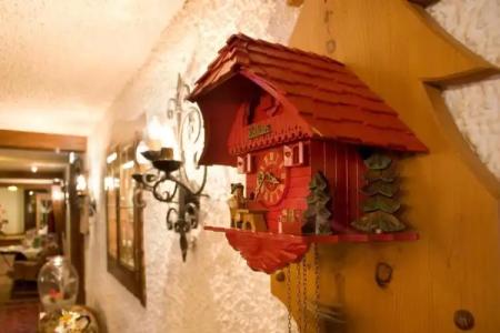 Wochner's-Sternen Am Schluchsee Hochschwarzwald - 12