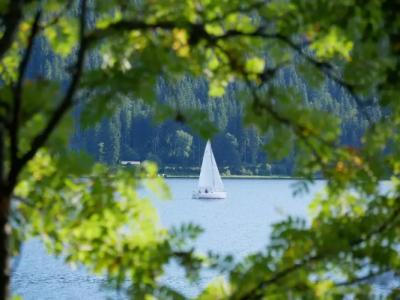 Wochner's-Sternen Am Schluchsee Hochschwarzwald - 21