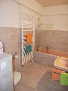 Wochner's-Sternen Am Schluchsee Hochschwarzwald - 100