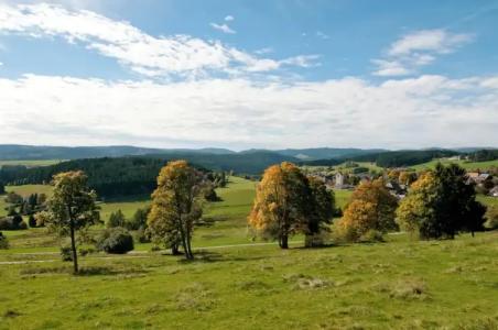 Jufa Schwarzwald - 32