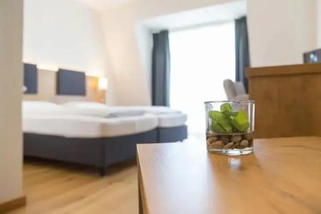 Adler & Gasthaus - 11