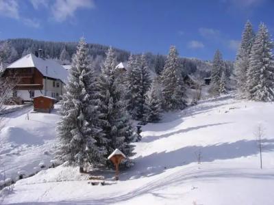 Schwarzwald ApartKräutle - 94