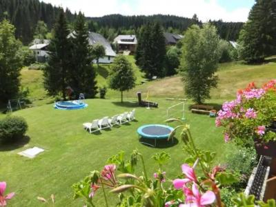 Schwarzwald ApartKräutle - 67