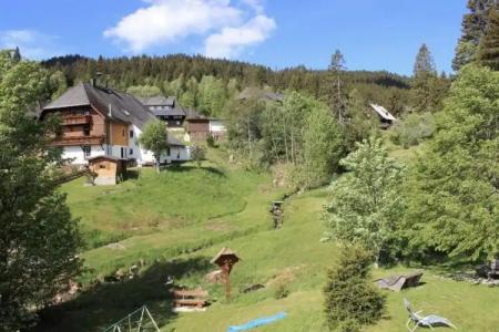 Schwarzwald ApartKräutle - 121