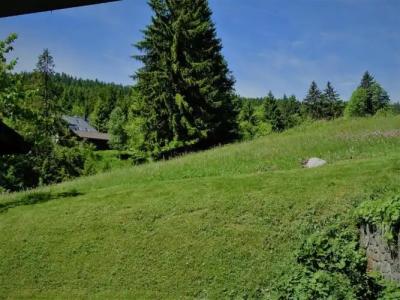Schwarzwald ApartKräutle - 54