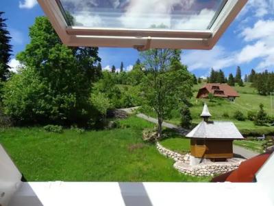 Schwarzwald ApartKräutle - 129