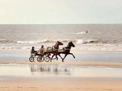 Ibis Budget Deauville - 9