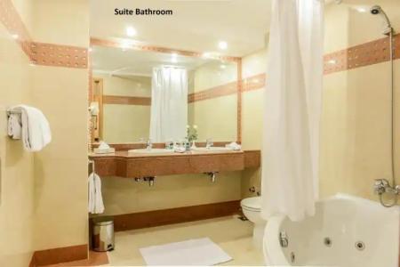 Golden Tulip Flamenco Cairo - 58