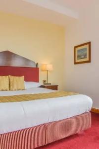 Golden Tulip Flamenco Cairo - 14