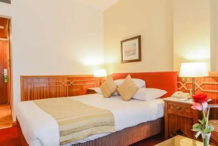 Golden Tulip Flamenco Cairo - 2