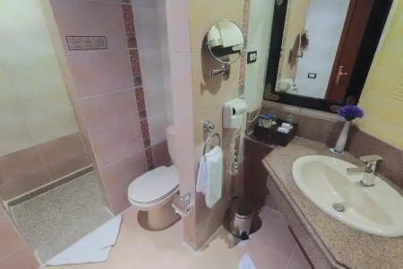 Albatros Palace Resort - 47