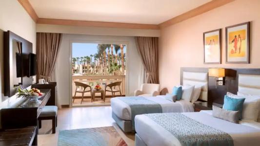 Albatros Palace Resort - 48