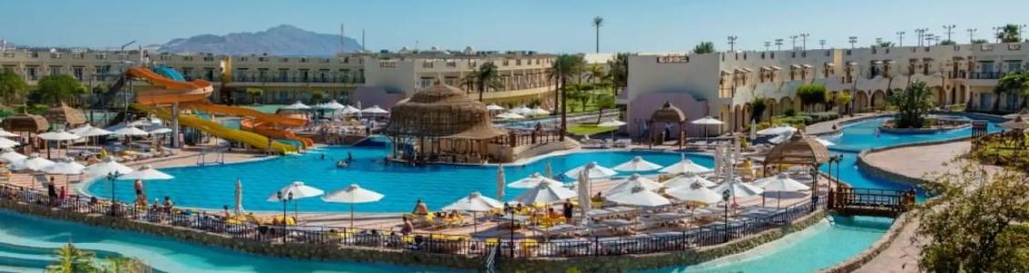 Шарм-эль-шейх / sharm el sheikh concorde el salam sport sharm el sheikh 5*. Отель конкорд шарм-эль-шейх. Конкорд эль салам спорт шарм-эль-шейх. Concorde el salam sport area 5 египет. Конкорд спорт шарм-эль-шейх.