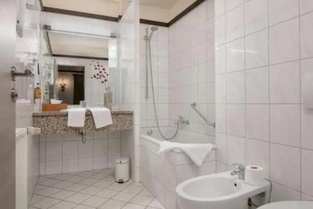 Best Western Mainz - 8