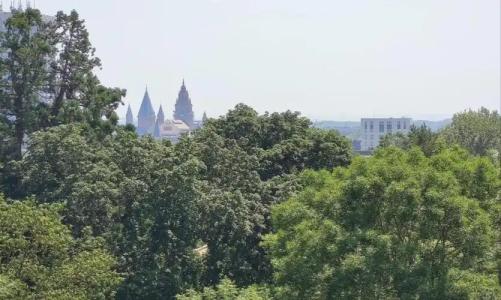 Best Western Mainz - 56