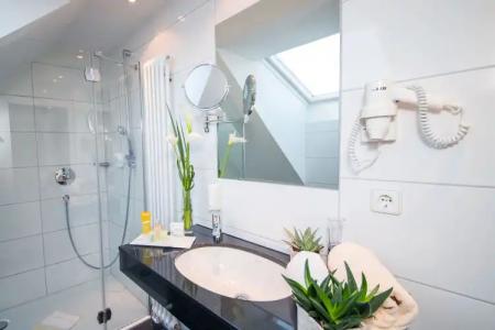 & Restaurant Goldener Pflug - 8