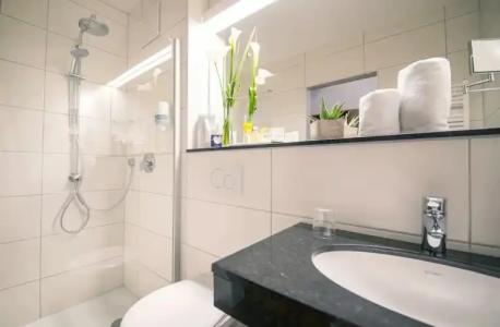 & Restaurant Goldener Pflug - 51