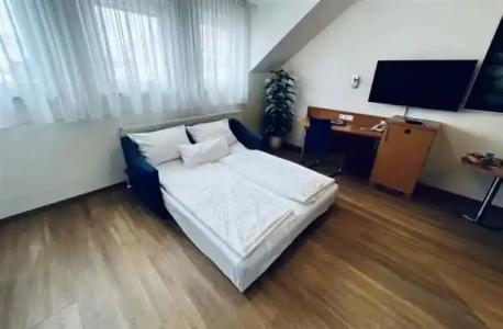 & Restaurant Goldener Pflug - 46