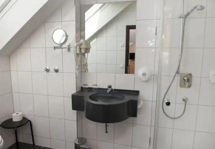 & Restaurant Goldener Pflug - 7