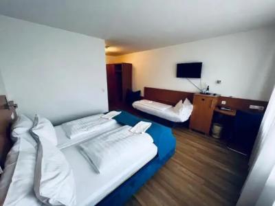 & Restaurant Goldener Pflug - 42