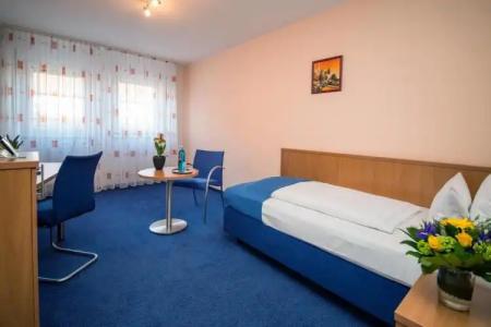 & Restaurant Goldener Pflug - 29