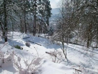 Michel & Friends Franziskushöhe - 14