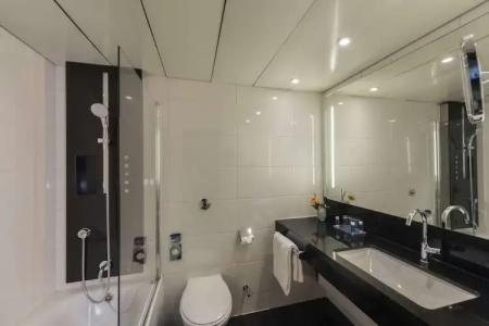 Maritim Königswinter - 81