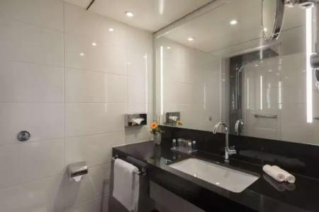 Maritim Königswinter - 52