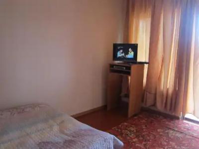 Динара - 3