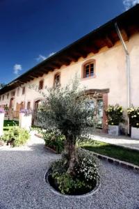 rainhof scheune & naturpark restaurant (Kirchzarten) - 36