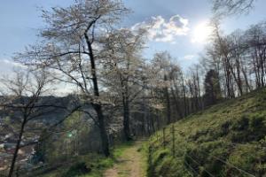 Отель «Burgschänke», Кайзерслаутерн