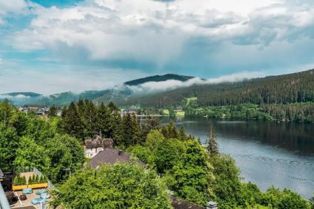 Nature Titisee - Easy.Life.Hotel. - 9